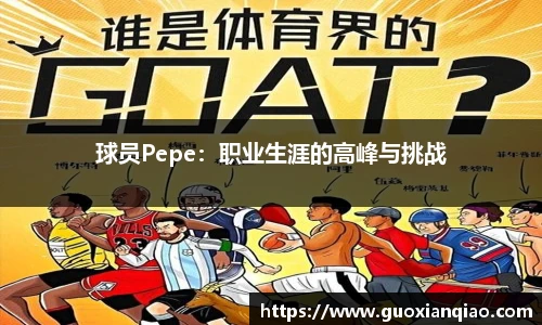 球员Pepe：职业生涯的高峰与挑战